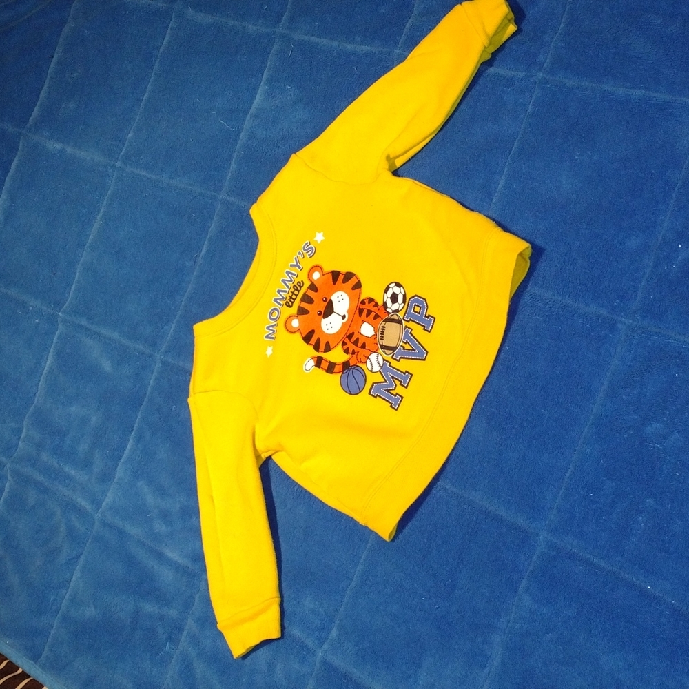 Garanimals 18 month sweater